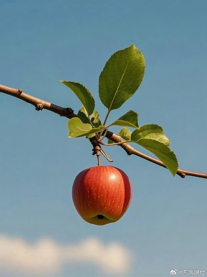 Benitez Square Blue Glasses