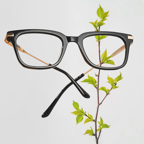 Daily Essentials<br>Daily Essentials
Daily Essenti