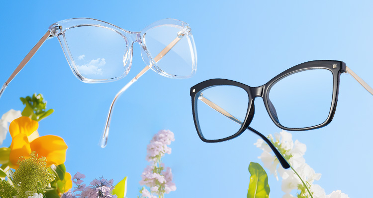 Zeelool optical eyeglasses online store TopBanner0