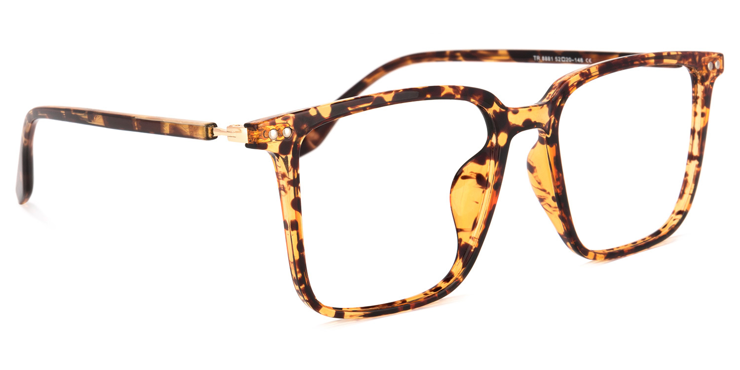 Tobias Square Tortoise Glasses2