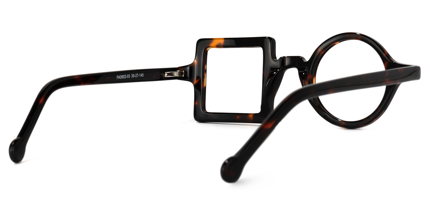 Paola Asymmetric Tortoise Glasses3