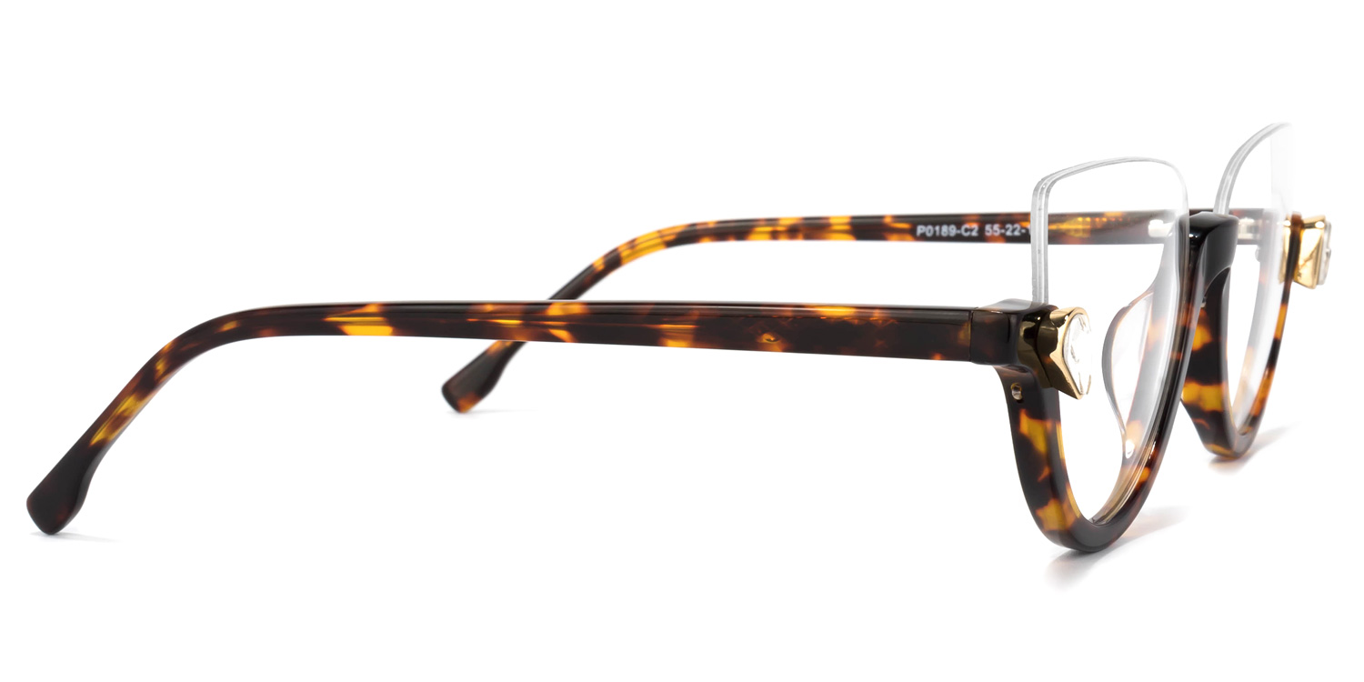 Cat Eye Tortoise Glasses3