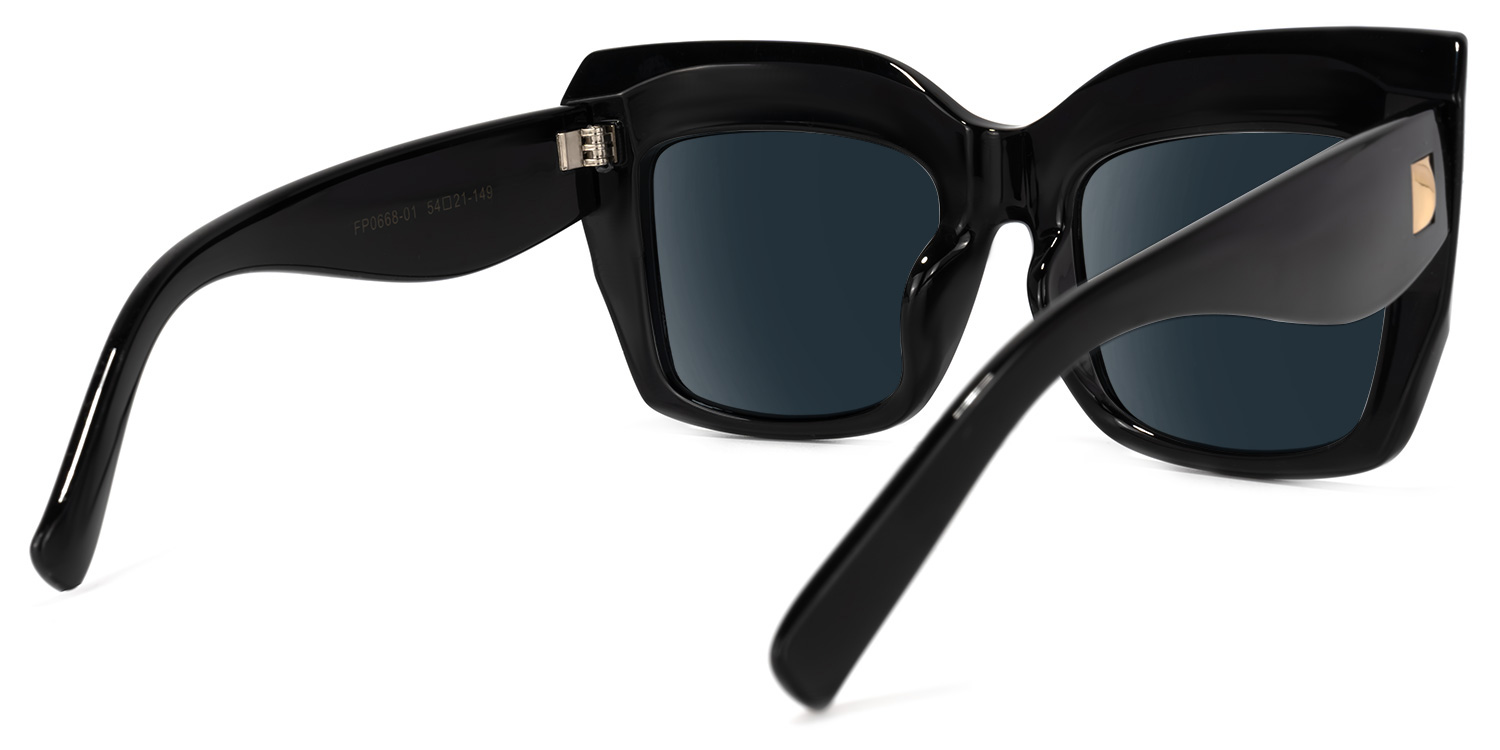 Alberta Cat Eye Black Sunglasses4
