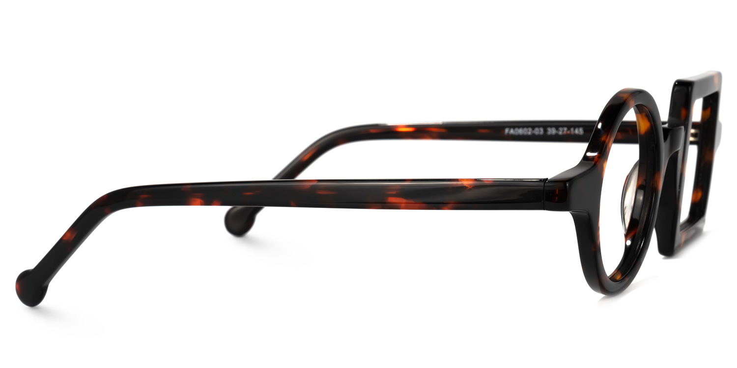 Paola Asymmetric Tortoise Glasses2