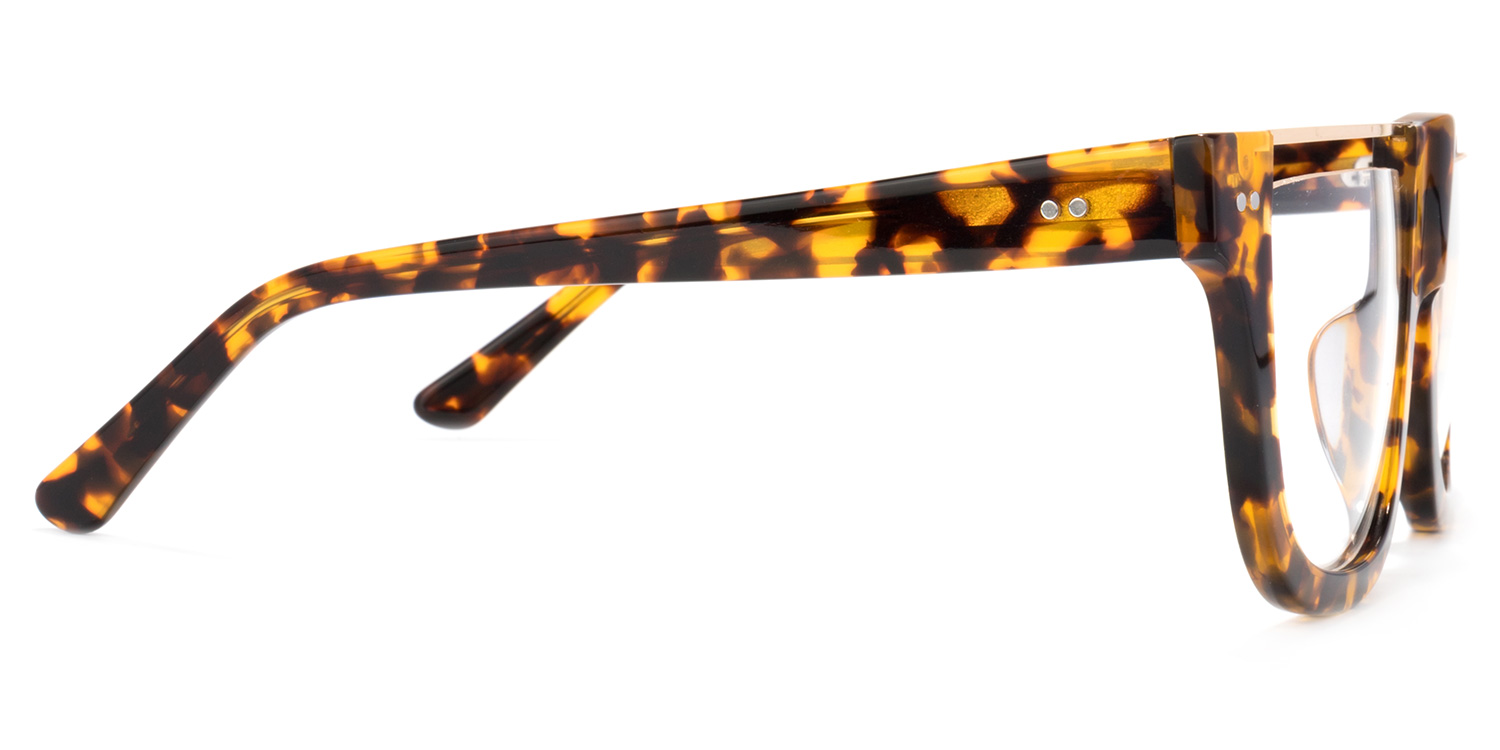 North Square Glasses3