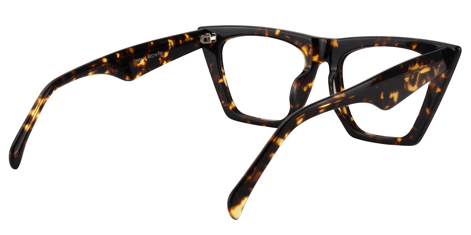 Cecile Cat Eye Tortoise Glasses3
