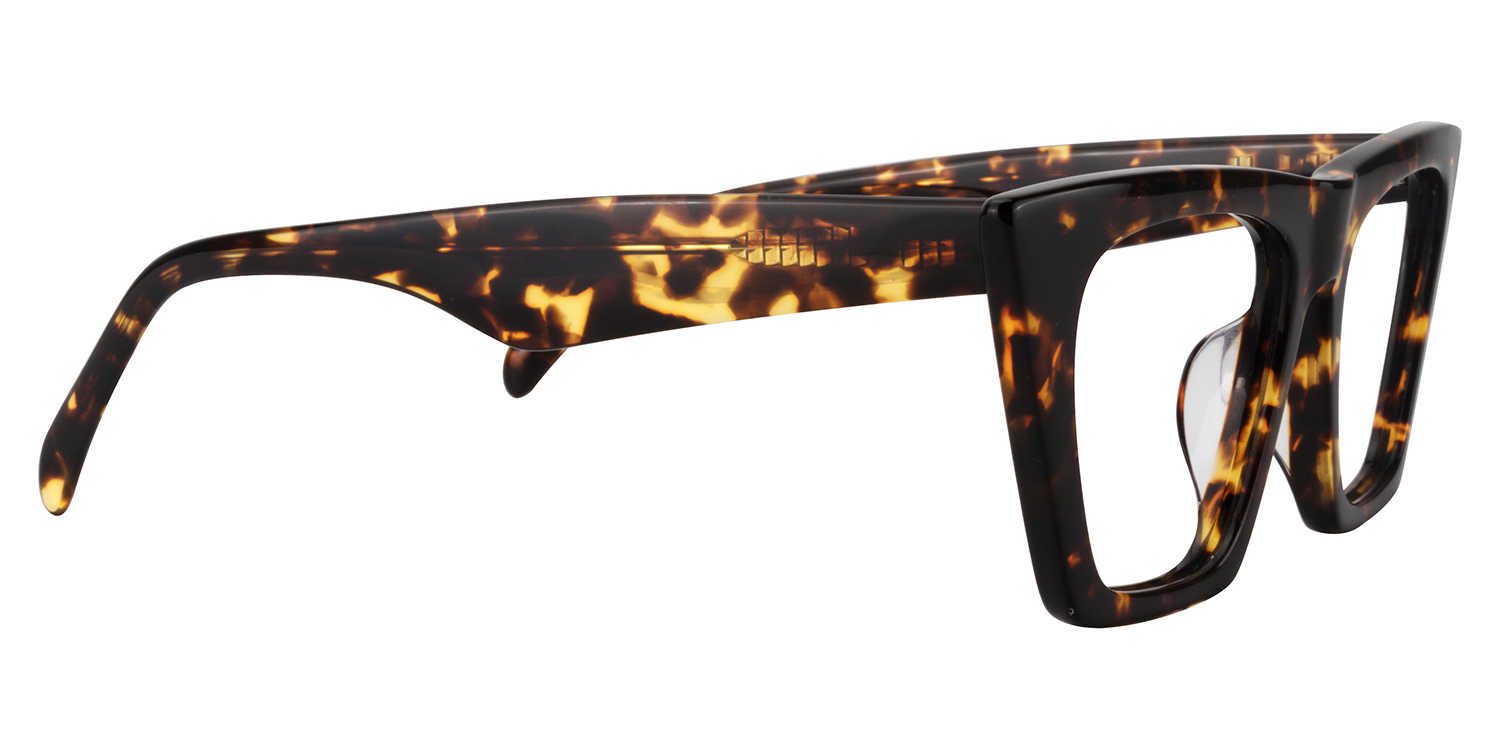 Cat Eye Tortoise Glasses5