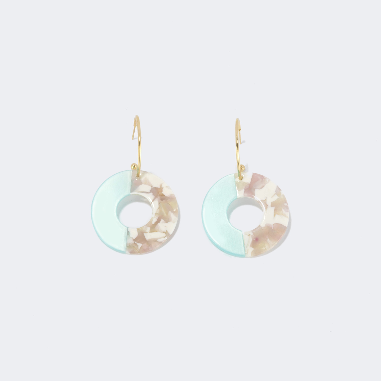Stylish Annulus Two-Tone Earrings1