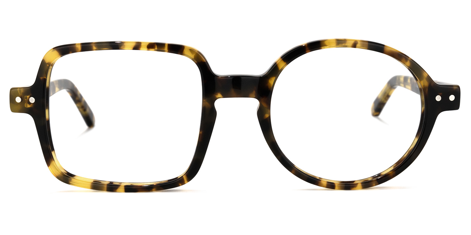 Tony Asymmetric Tortoise Glasses0
