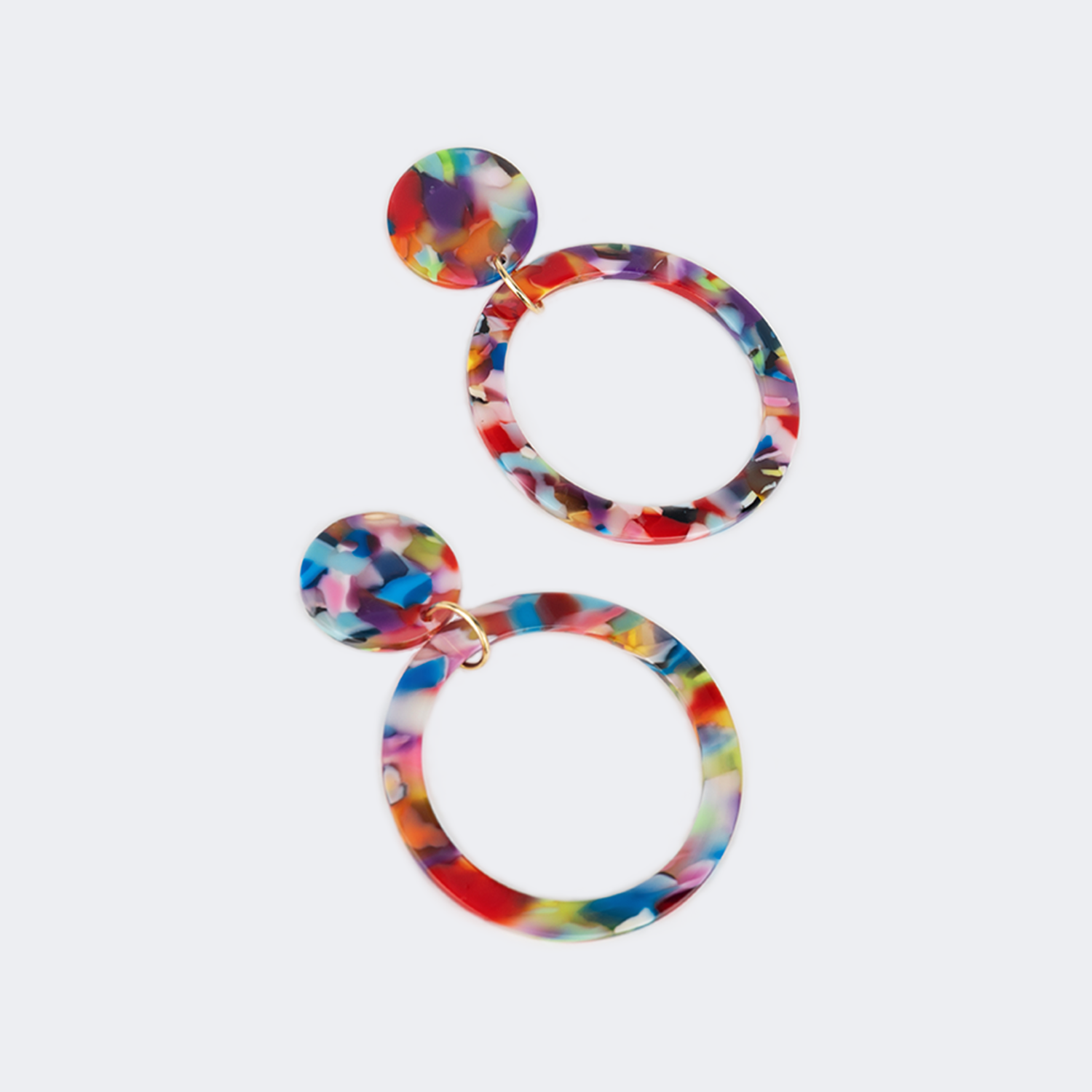 Stylish Annulus Floral Earrings0