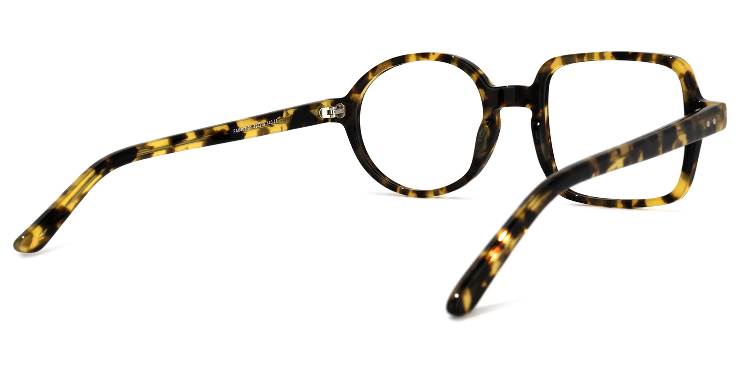 Tony Asymmetric Tortoise Glasses4