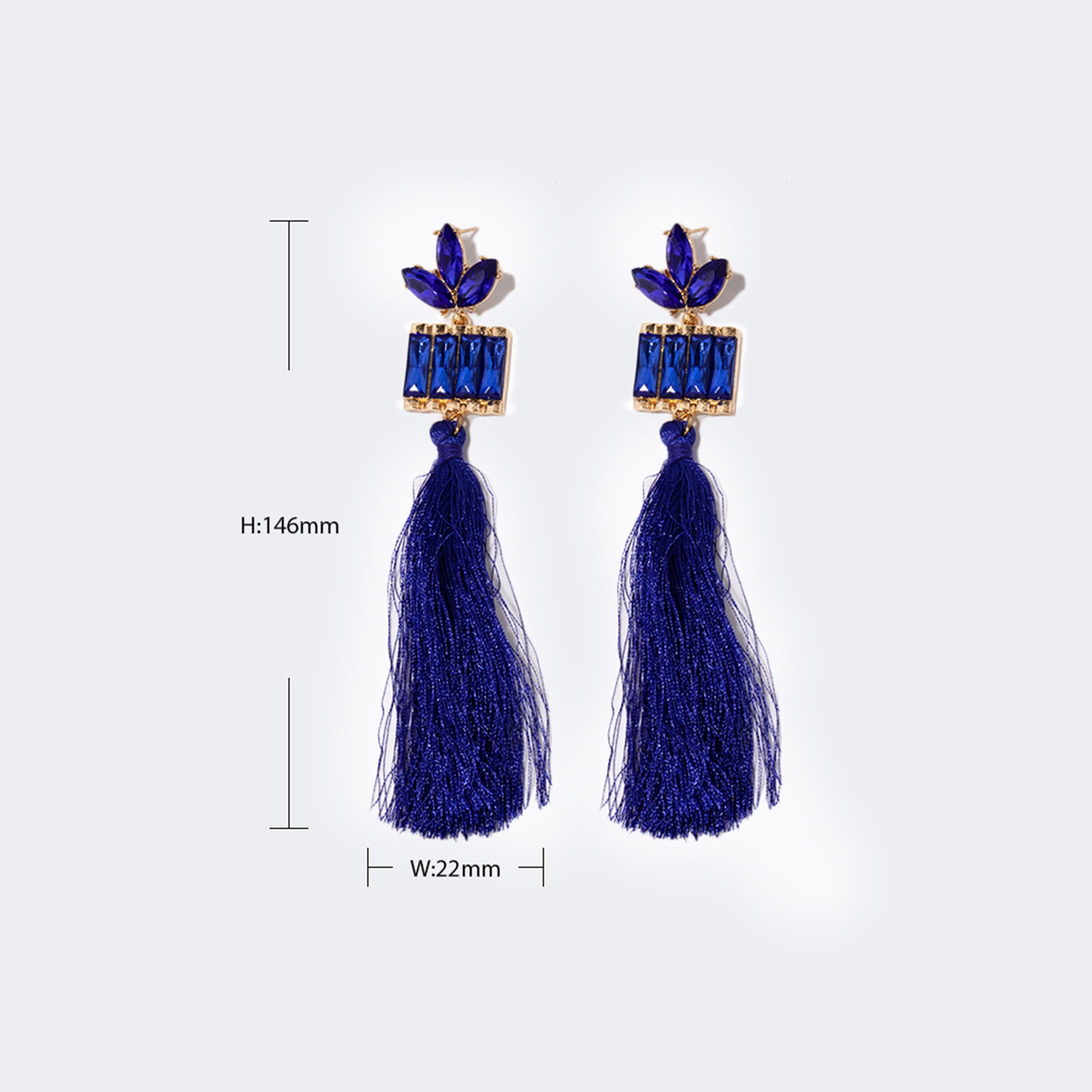 Stylish Long Tassels Blue Earrings2