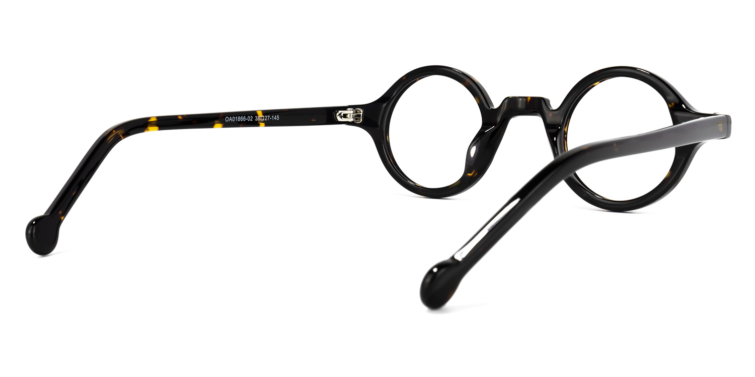 Cassandra Round Tortoise Glasses4