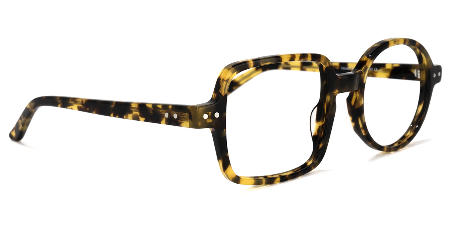 Tony Asymmetric Tortoise Glasses2