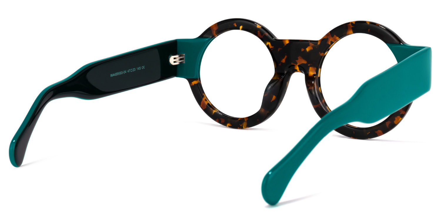 Hardnett Round Tortoise Glasses4