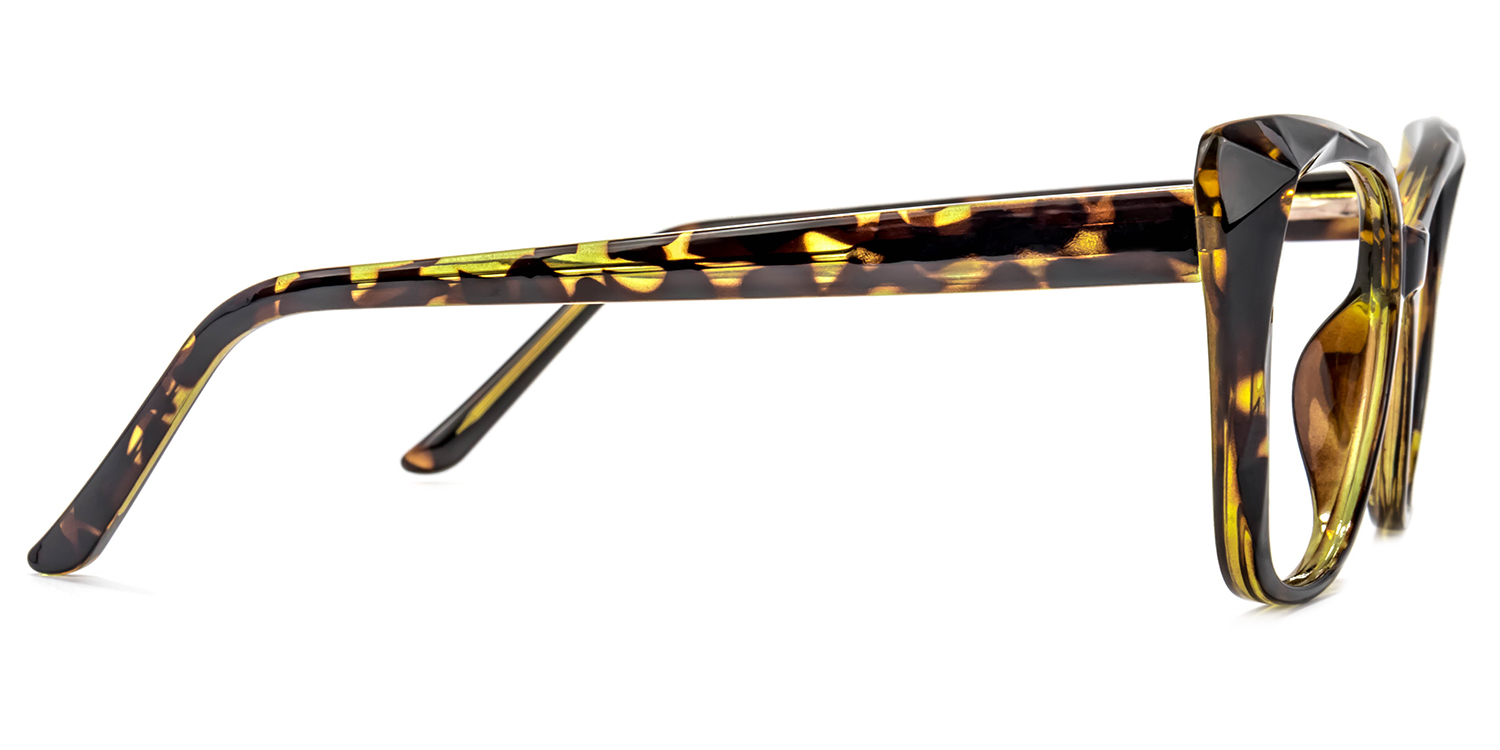 Farris Square Tortoise Glasses3