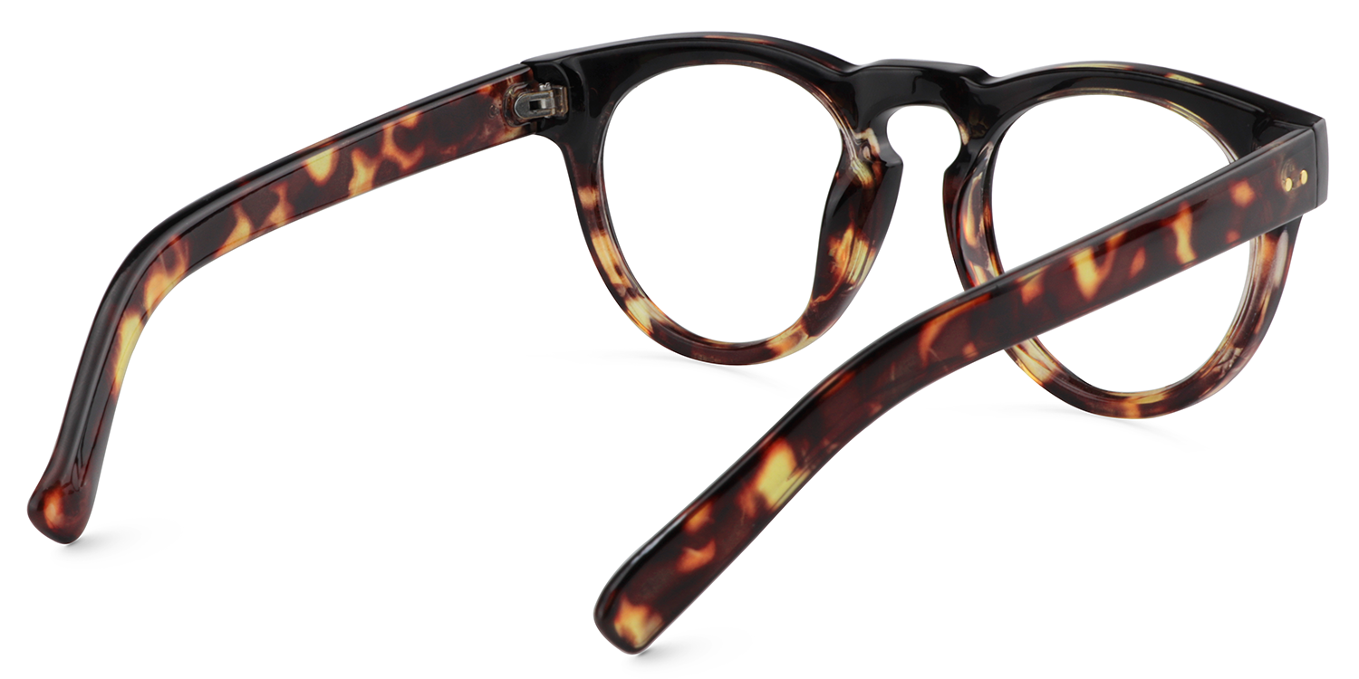 Malloy Round Tortoise Glasses5