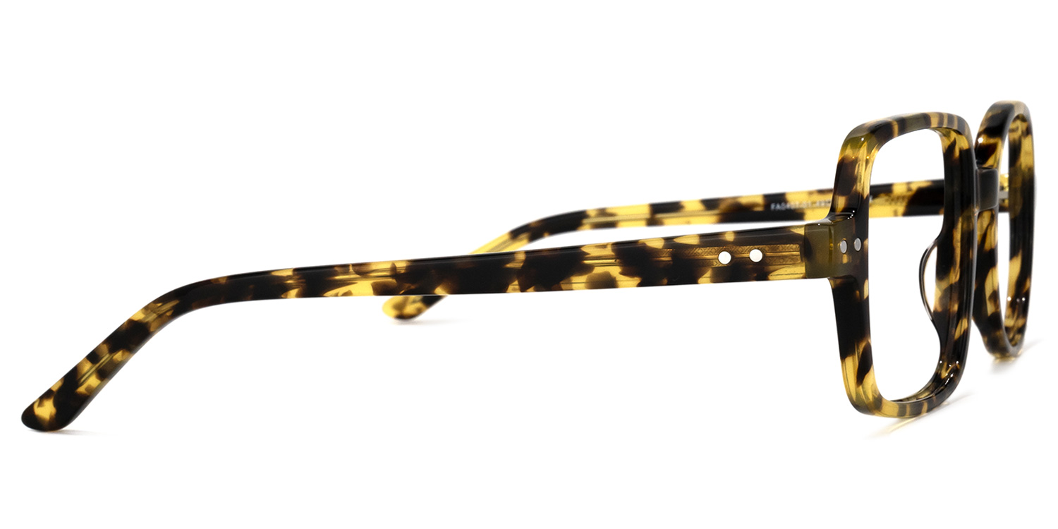 Tony Asymmetric Tortoise Glasses3