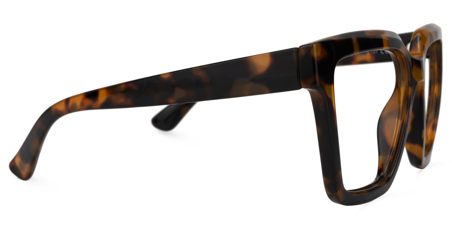 Coleman Square Tortoise Glasses2