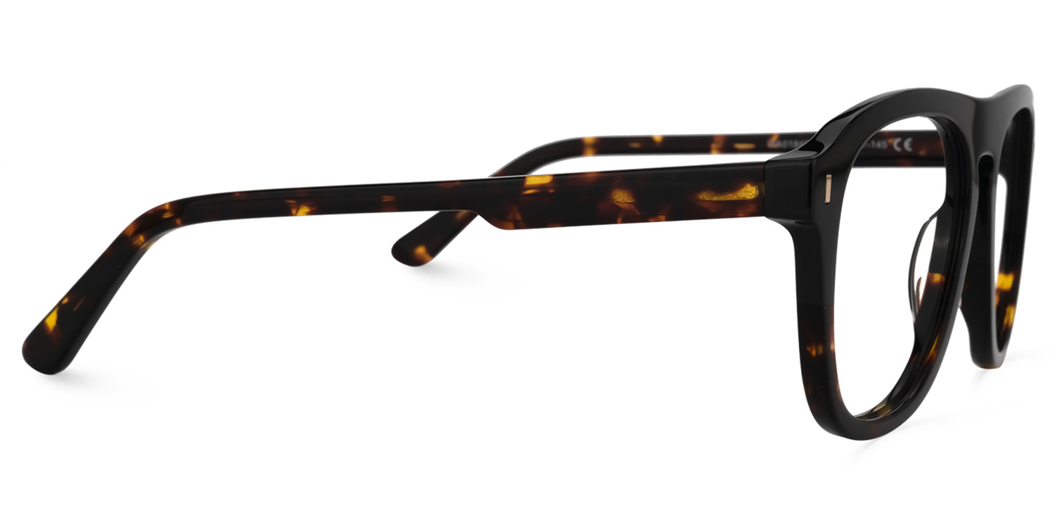 Janitza Aviator Tortoise Glasses2