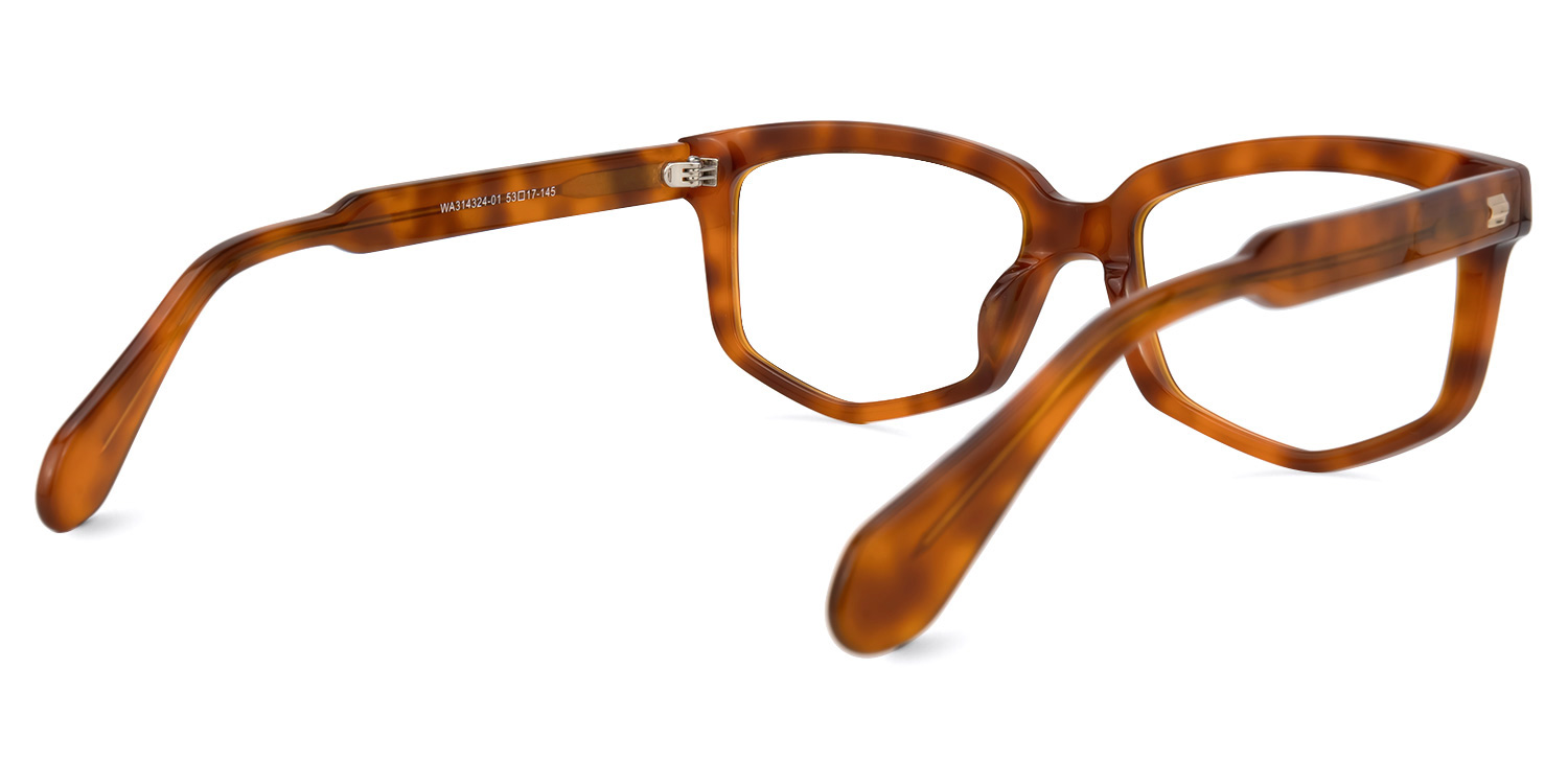 Geri Geometric Brown Glasses3